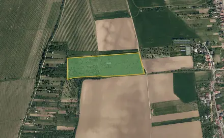 Prodej pole 34 939 m², Kostelec, okres Hodonín
