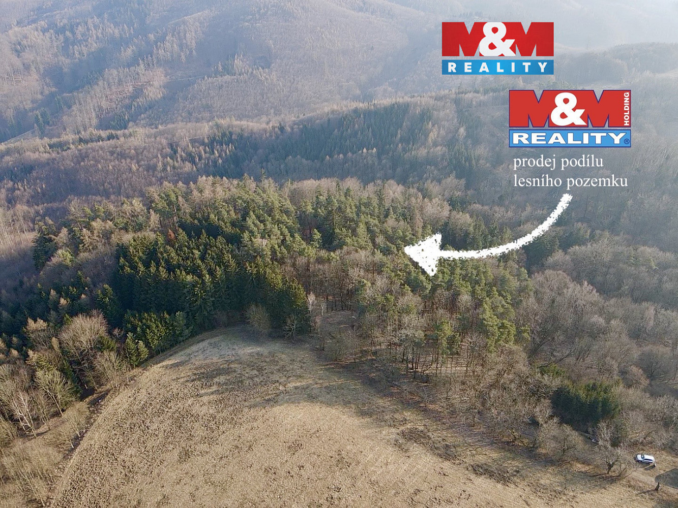Prodej lesa 81 768 m²