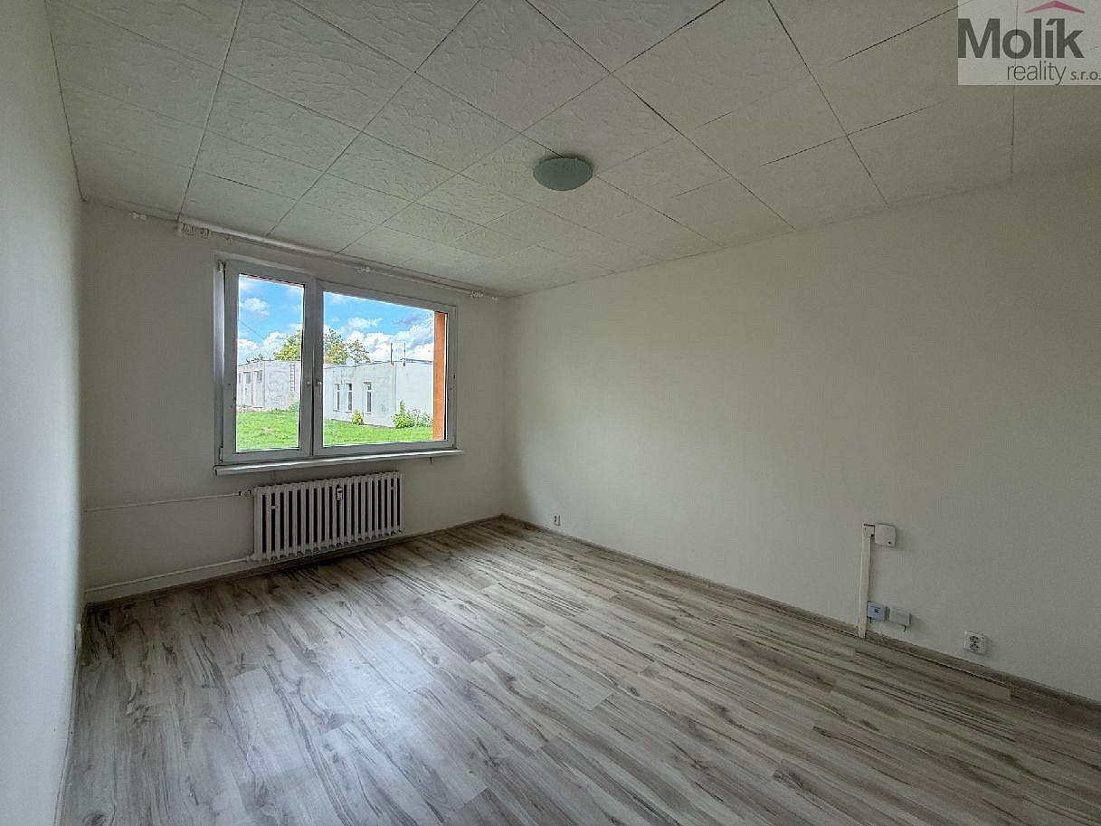 Pronájem bytu 3+1 66 m² – fotografie 3