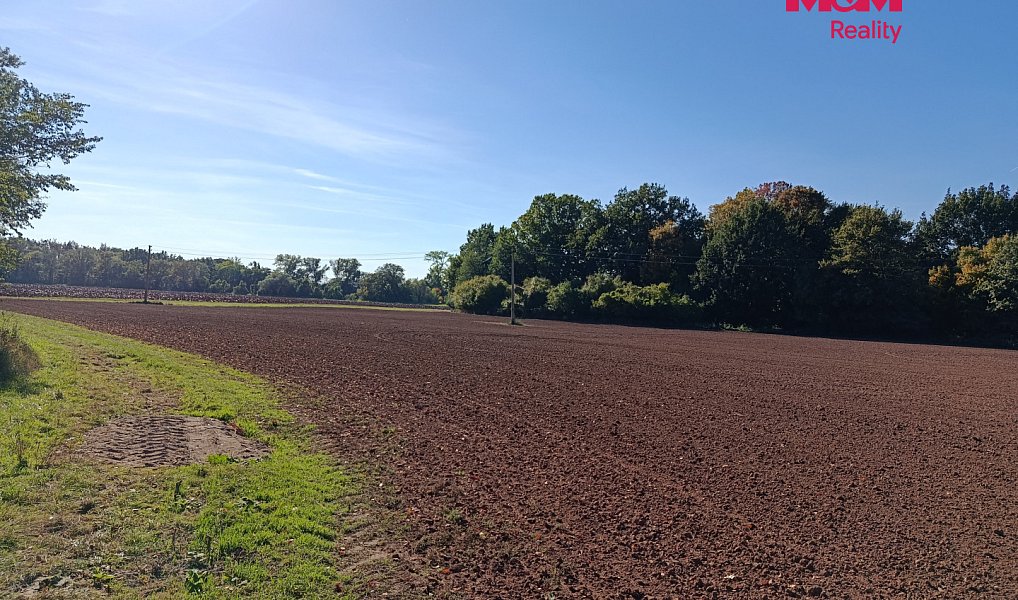 Prodej louky 10 890 m², Konárovice – náhled fotky 2