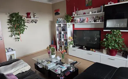 Prodej bytu 3+1 74 m², Havlíčkova, Valašské Meziříčí, okres Vsetín