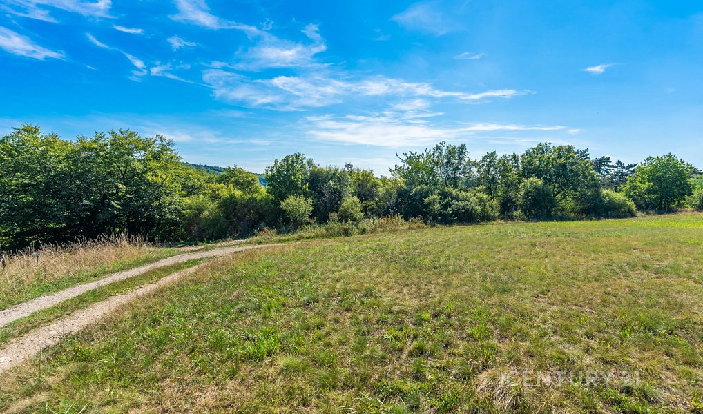 Prodej zahrady 14 196 m², Štěchovice – náhled fotky 5