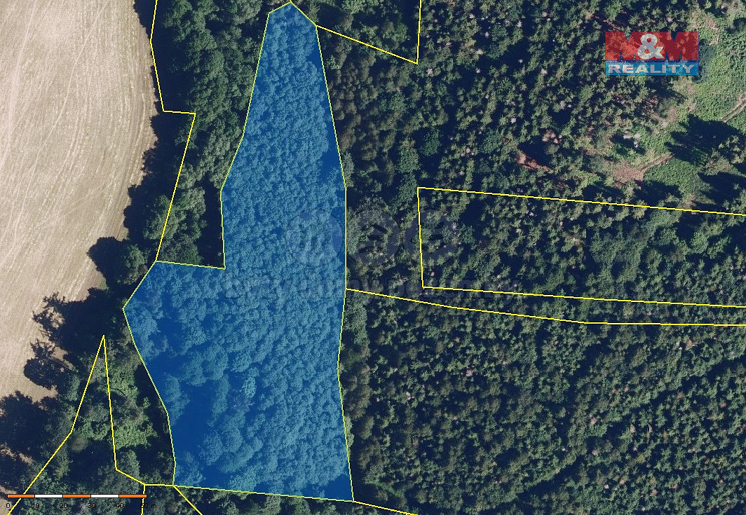 Prodej lesa 8 566 m²