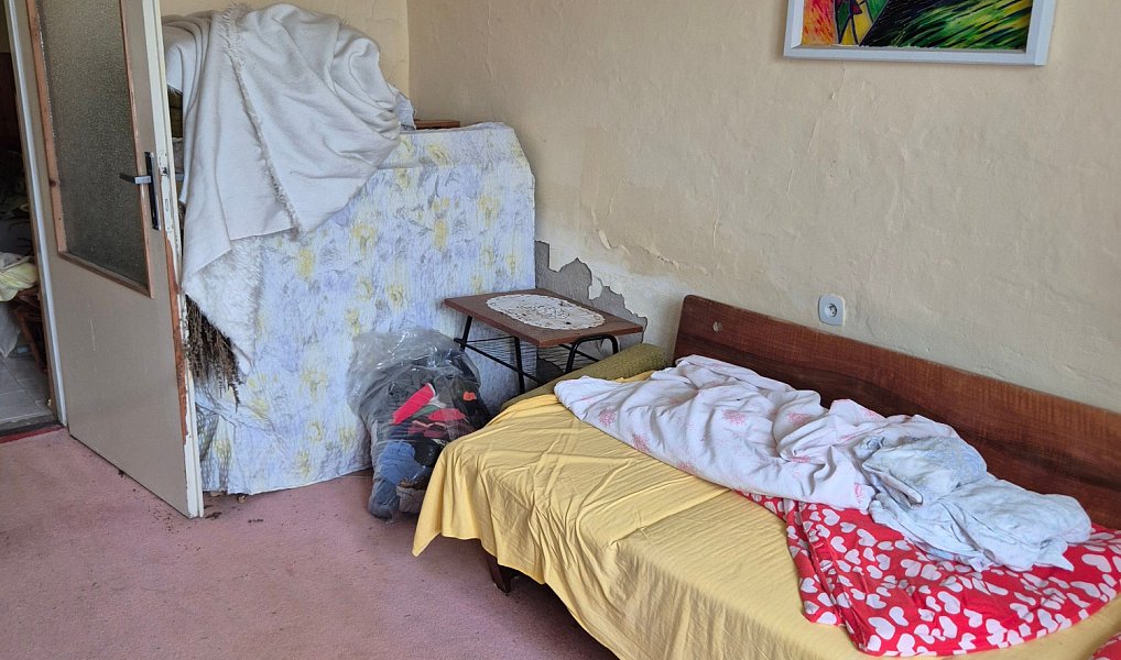 Prodej domu 70 m² s pozemkem 1 811 m², Bukovany – náhled fotky 15