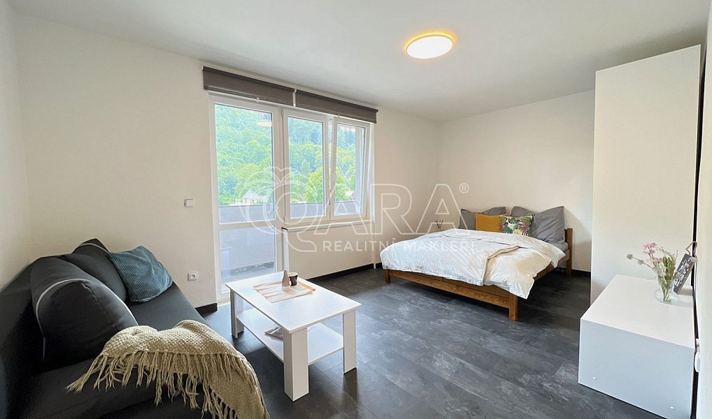 Prodej bytu 1+1 32 m², Město Albrechtice – náhled fotky 2
