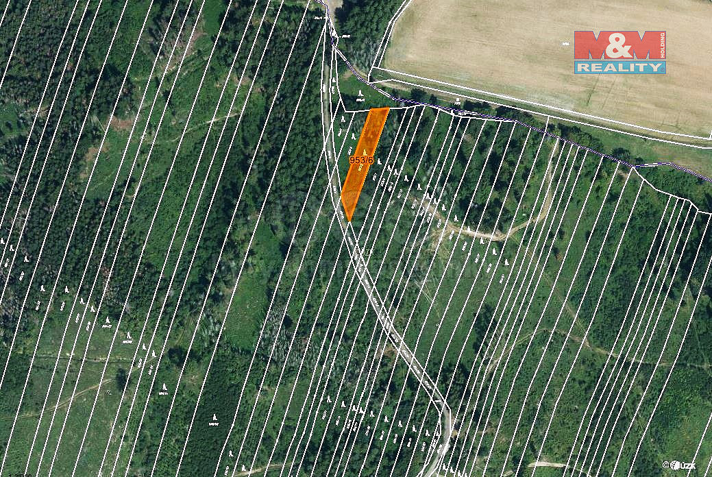 Prodej lesa 6 647 m²