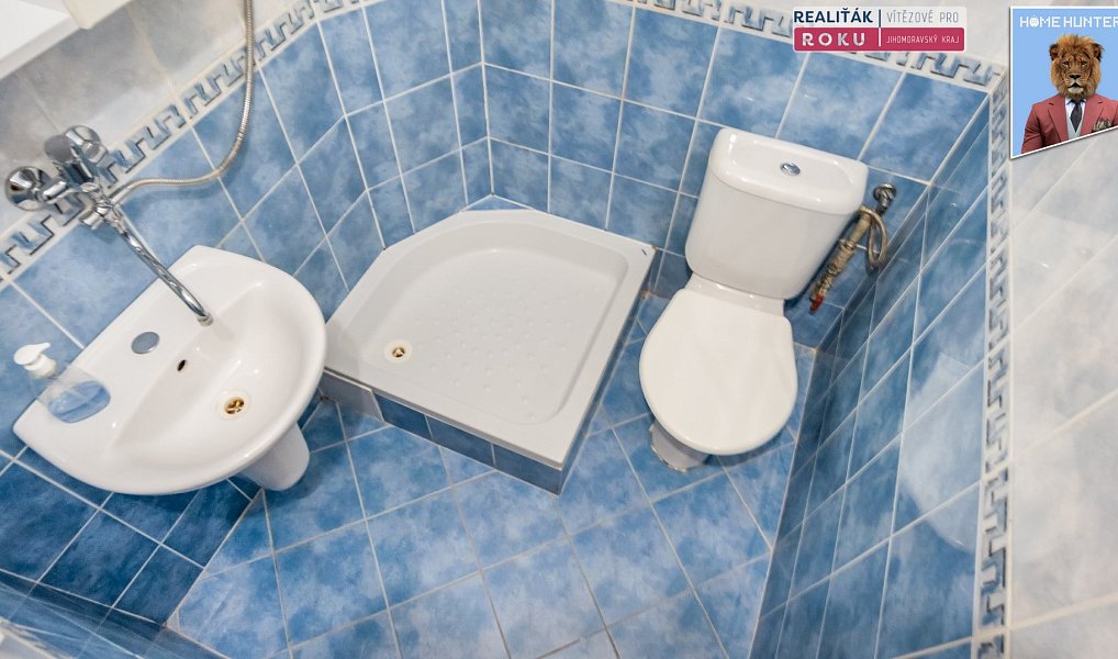 Pronájem bytu 1+kk 20 m², Brno – náhled fotky 5