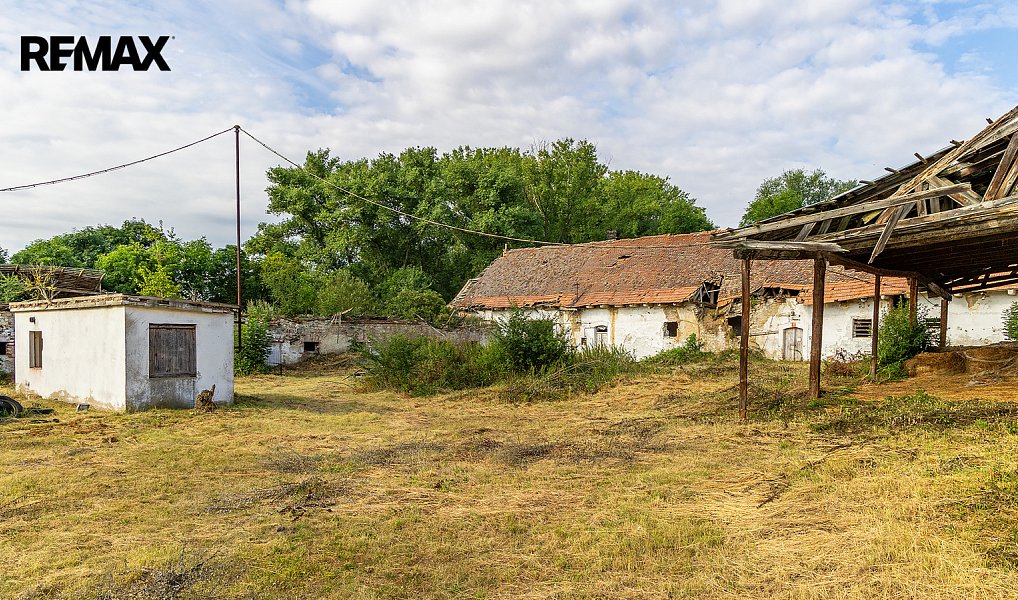 Prodej zemědělského objektu 2 500 m², Počedělice – náhled fotky 49