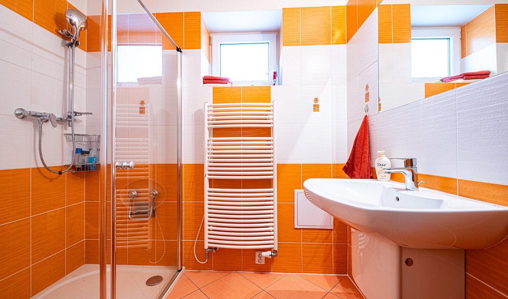 Prodej domu 300 m² s pozemkem 870 m², Liberec – náhled fotky 16