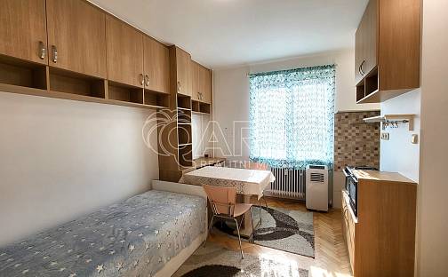 Pronájem bytu 1+kk 22 m², Královická, Brandýs nad Labem-Stará Boleslav - Brandýs nad Labem, okres Praha-východ