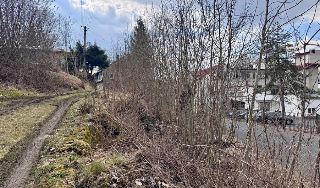 Prodej stavebního pozemku 254 m², Krásná Lípa – náhled fotky 3