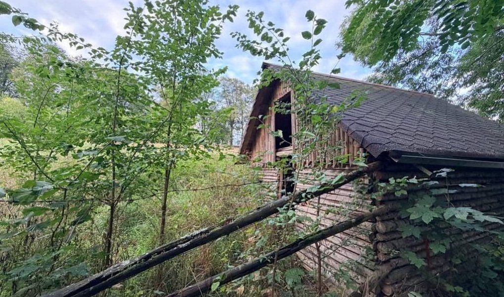 Prodej komerčního pozemku 2 559 m², Paceřice – náhled fotky 3