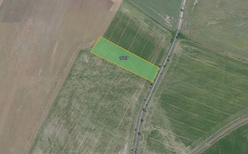 Prodej pole 4 388 m², Bobnice, okres Nymburk