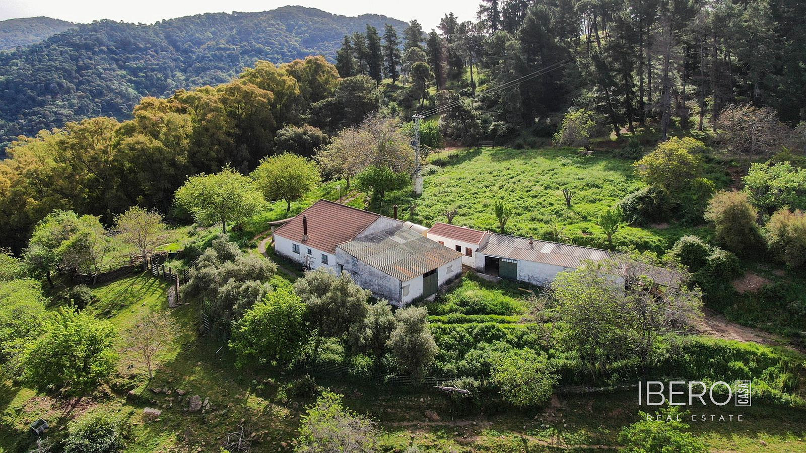 Casa 4+kk – Gaucín, Gaucín Pueblo, Serranía de Ronda - Vista 4