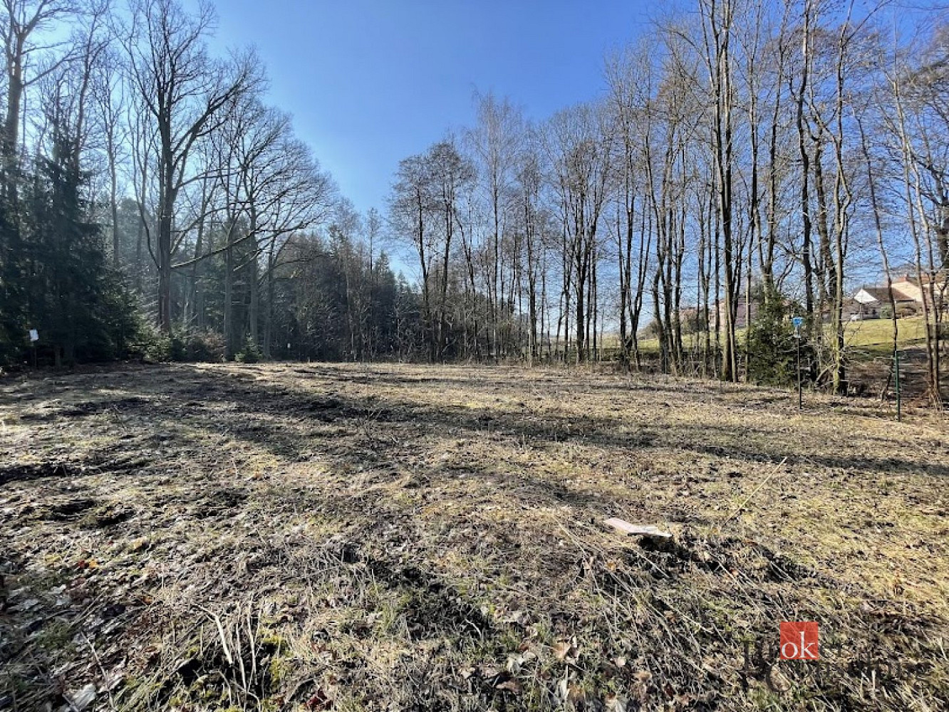 Prodej pozemku 3 298 m² – fotografie 4