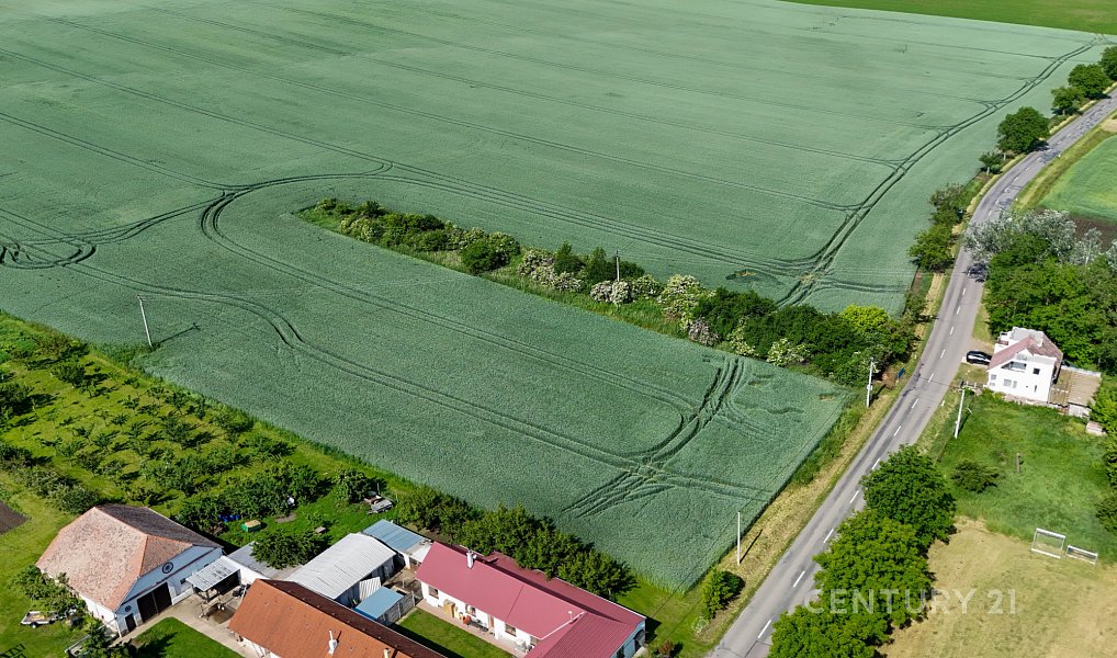 Prodej stavebního pozemku 1 000 m², Znojmo – náhled fotky 13