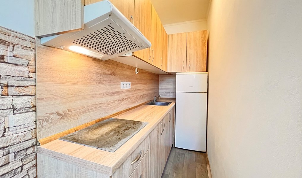 Pronájem bytu 1+kk 16 m², Hradec Králové – náhled fotky 3