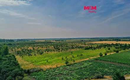 Prodej pole 123 477 m², Rakvice, okres Břeclav