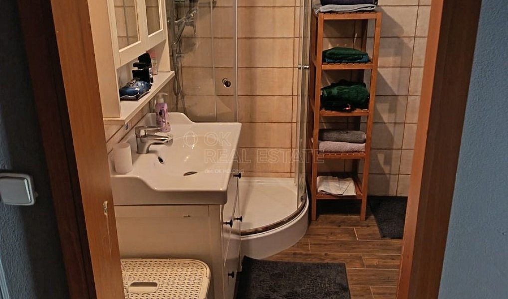 Pronájem domu 180 m² s pozemkem 78 m², Tachov – náhled fotky 10