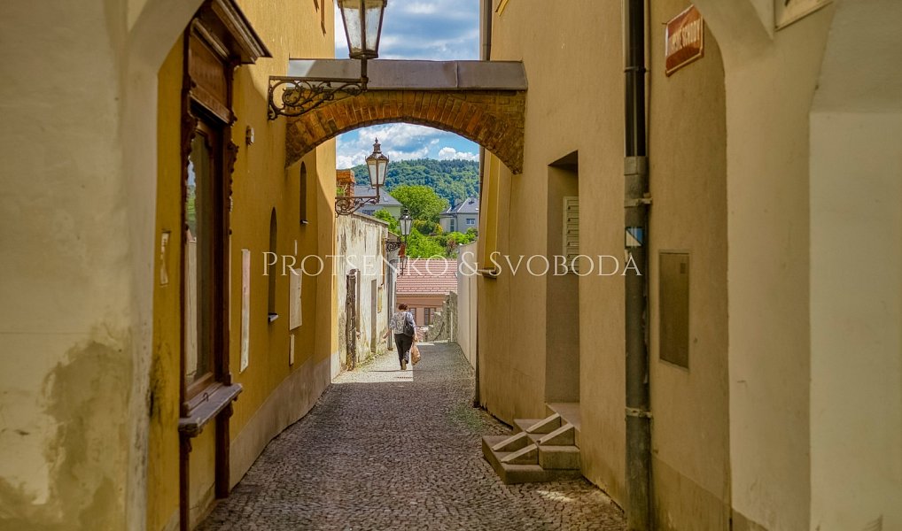 Prodej domu 219 m² s pozemkem 729 m², Hranice – náhled fotky 25