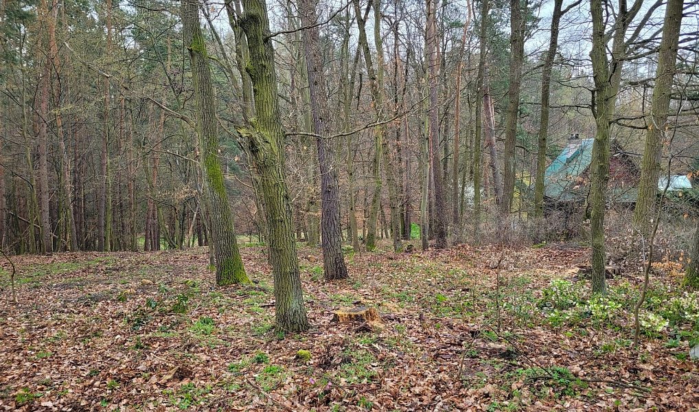 Prodej stavebního pozemku 1 246 m², Chyňava – náhled fotky 9