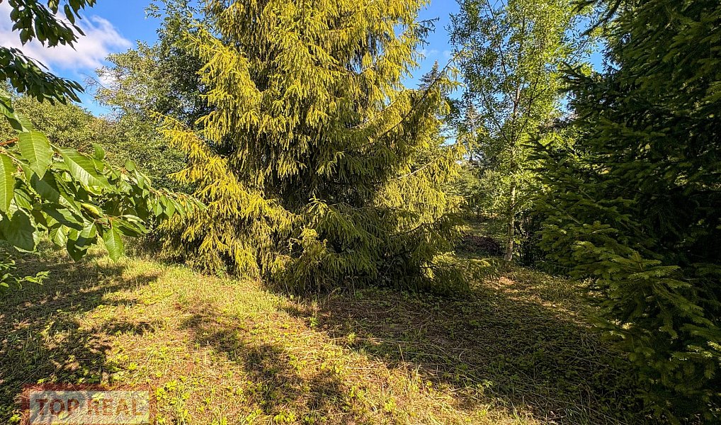 Prodej stavebního pozemku 1 062 m², Zdounky – náhled fotky 7