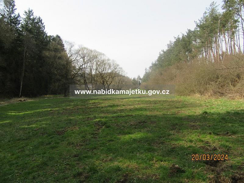 Prodej pozemku 2 519 m² – fotografie 4