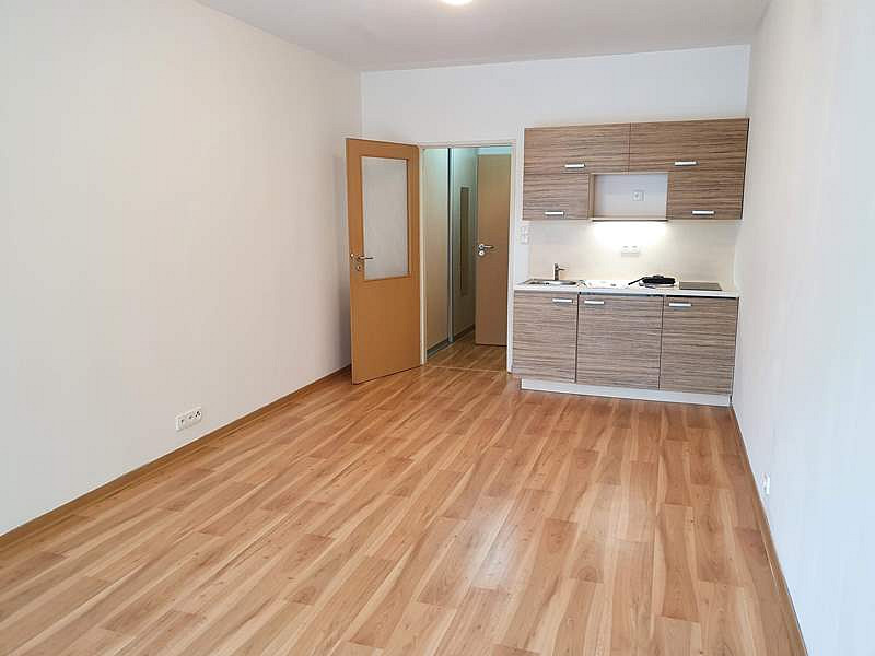 Pronájem bytu 1+kk 30 m² – pohled 3