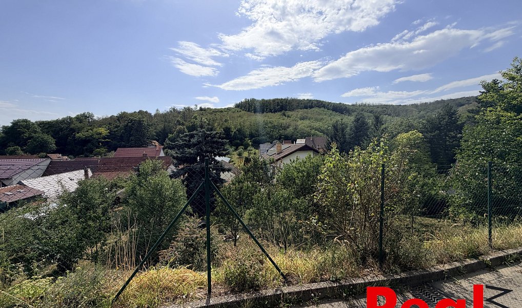 Prodej stavebního pozemku 1 895 m², Horní Bojanovice – náhled fotky 3