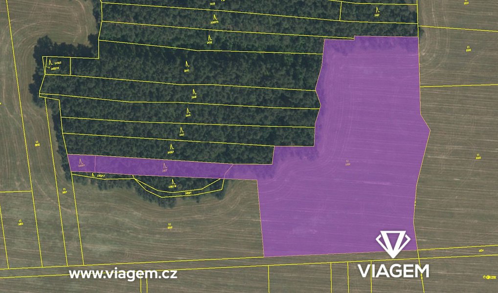 Prodej pole 5 464 m², Slabčice – náhled fotky 4