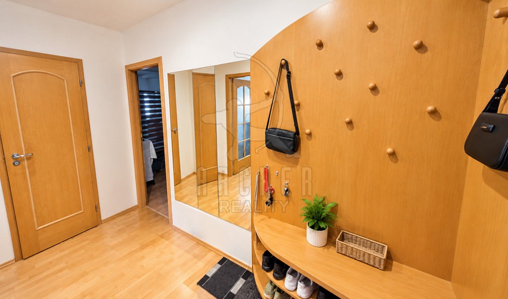Prodej bytu 2+1 53 m², Praha – náhled fotky 16