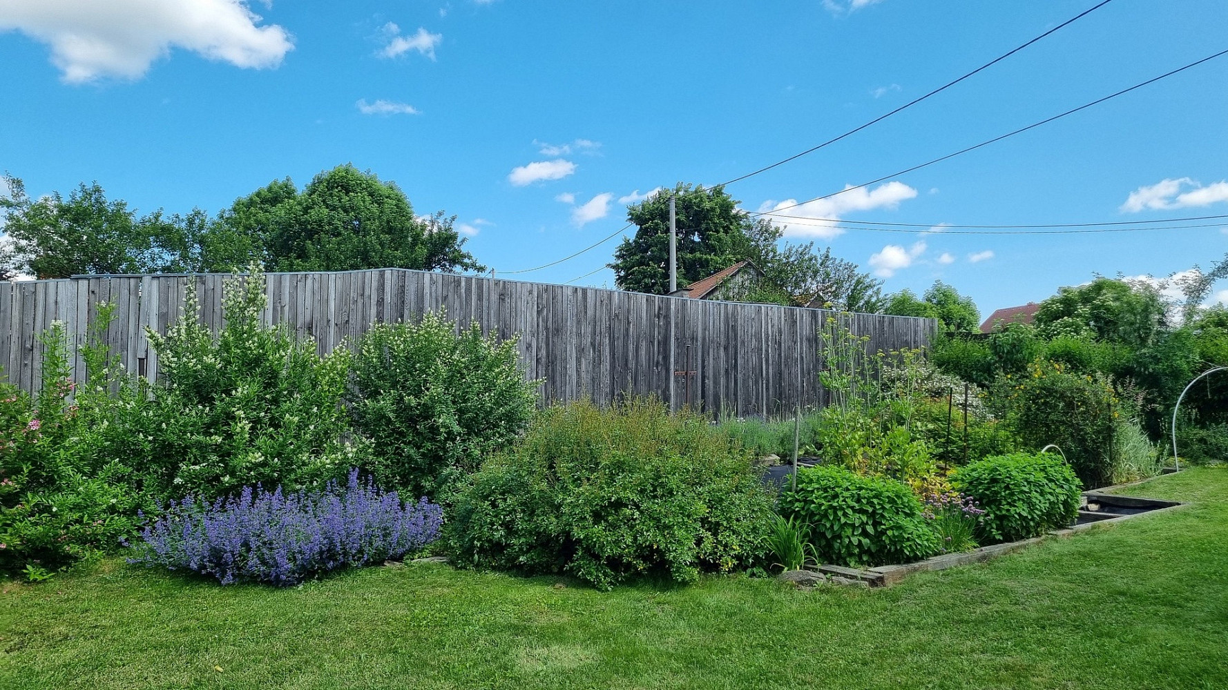 Fotka 29 z 30