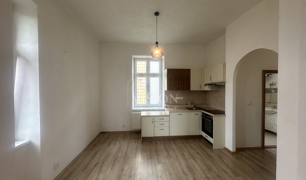 Pronájem bytu 2+1 57 m², Tábor – náhled fotky 11
