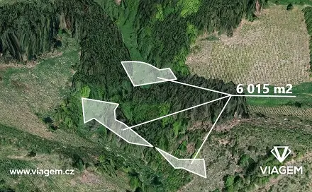 Prodej lesa 6 015 m², Zbizuby, okres Kutná Hora