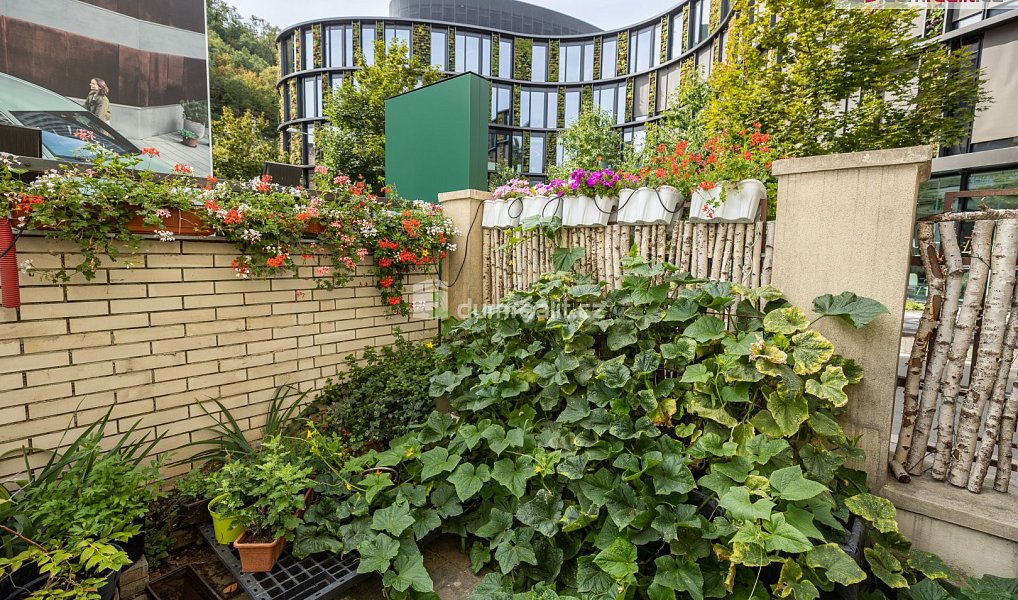 Prodej bytu 2+1 44 m², Praha – náhled fotky 10