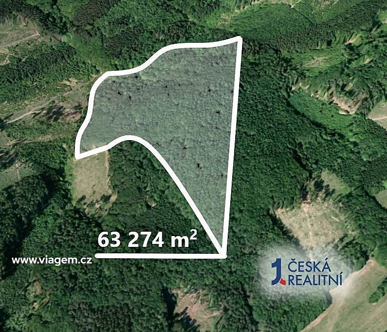 Prodej pole 6 084 m² – fotografie 2
