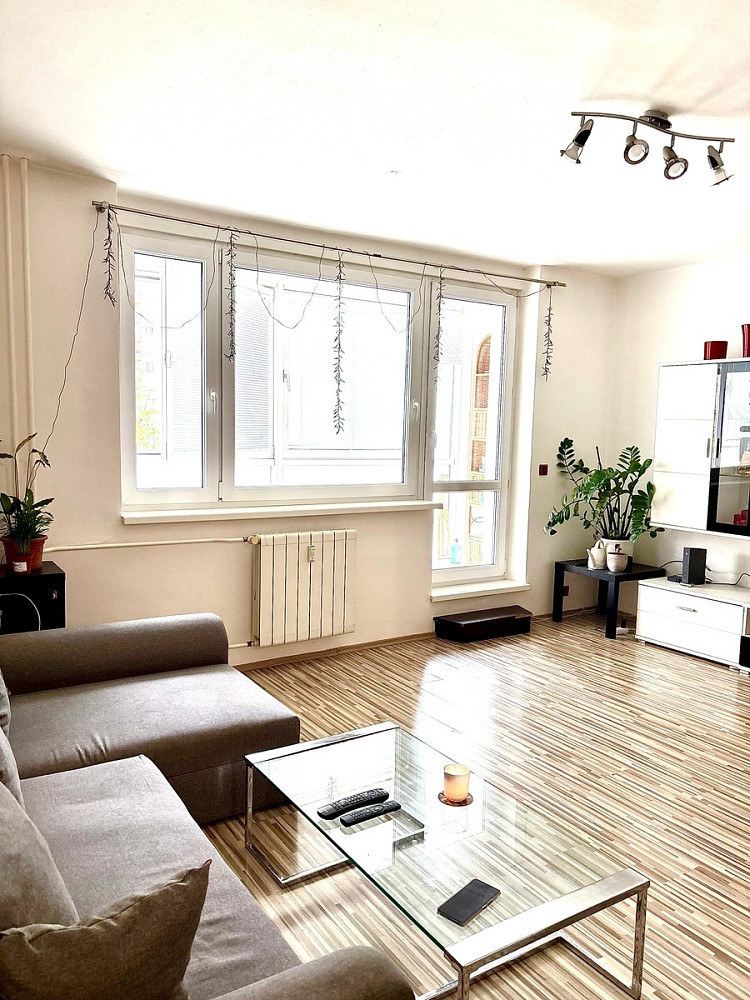 Pronájem bytu 2+kk 52 m² - View 3