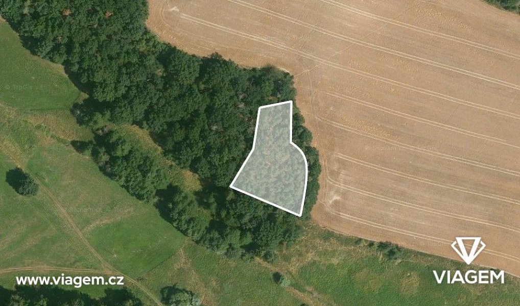 Prodej lesa 2 059 m², Líšťany – náhled fotky 2