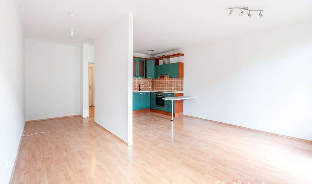 Pronájem bytu 1+kk 47 m², Praha – náhled fotky 6
