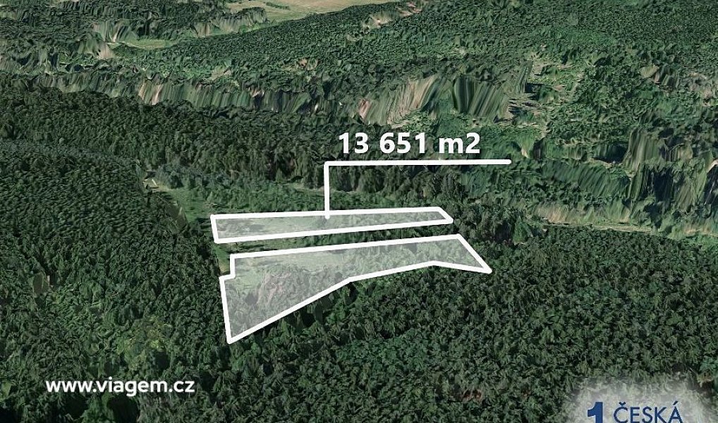 Prodej lesa 13 651 m², Dačice – náhled fotky 2