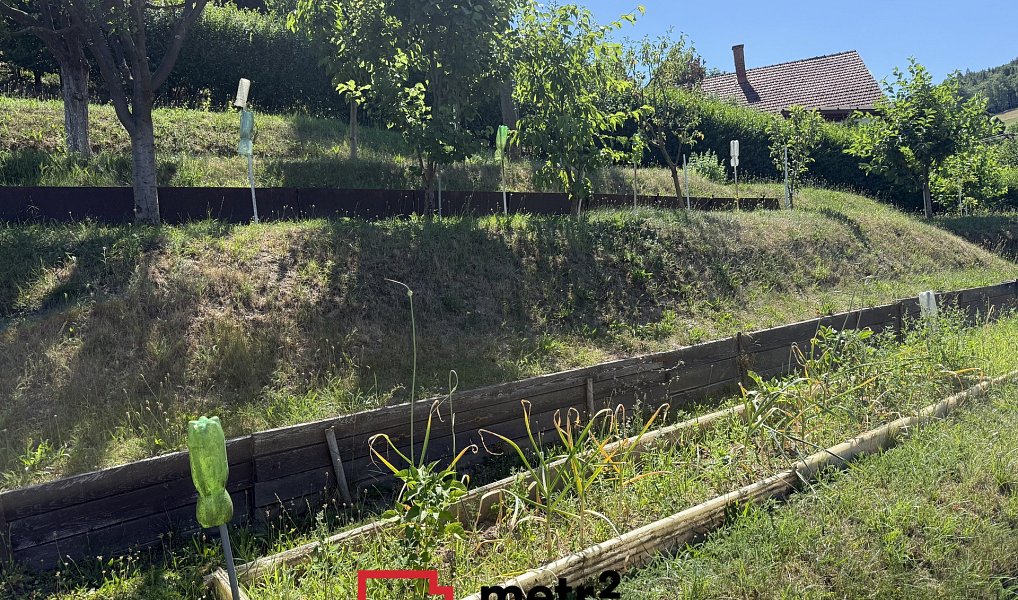 Prodej domu 145 m² s pozemkem 924 m², Dlouhomilov – náhled fotky 11