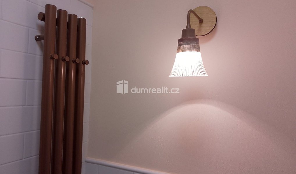 Pronájem bytu 1+kk 20 m², Karlovy Vary – náhled fotky 22