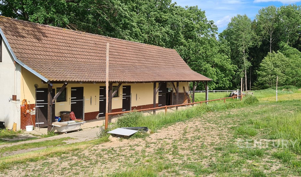 Prodej zemědělského objektu 600 m², Kamenný Újezd – náhled fotky 13