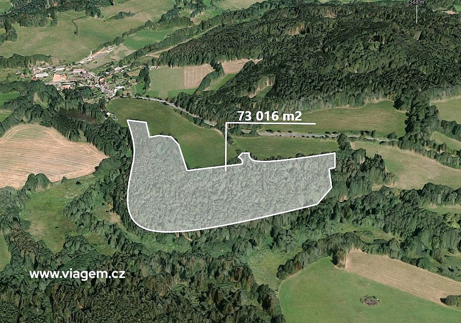 Prodej lesa 7 020 m²