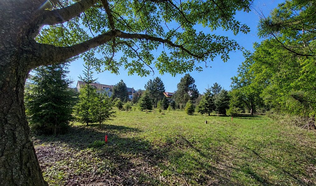 Prodej stavebního pozemku 971 m², Popůvky – náhled fotky 19