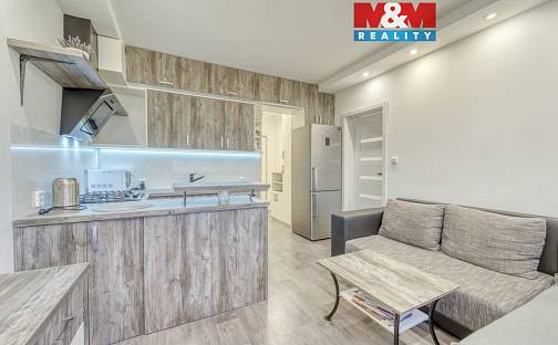 Pronájem bytu 2+kk 36 m², Luďka Pika, Plzeň - Doudlevce