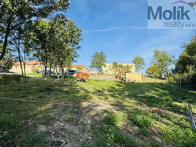 Prodej stavebního pozemku 852 m² – fotografie 5