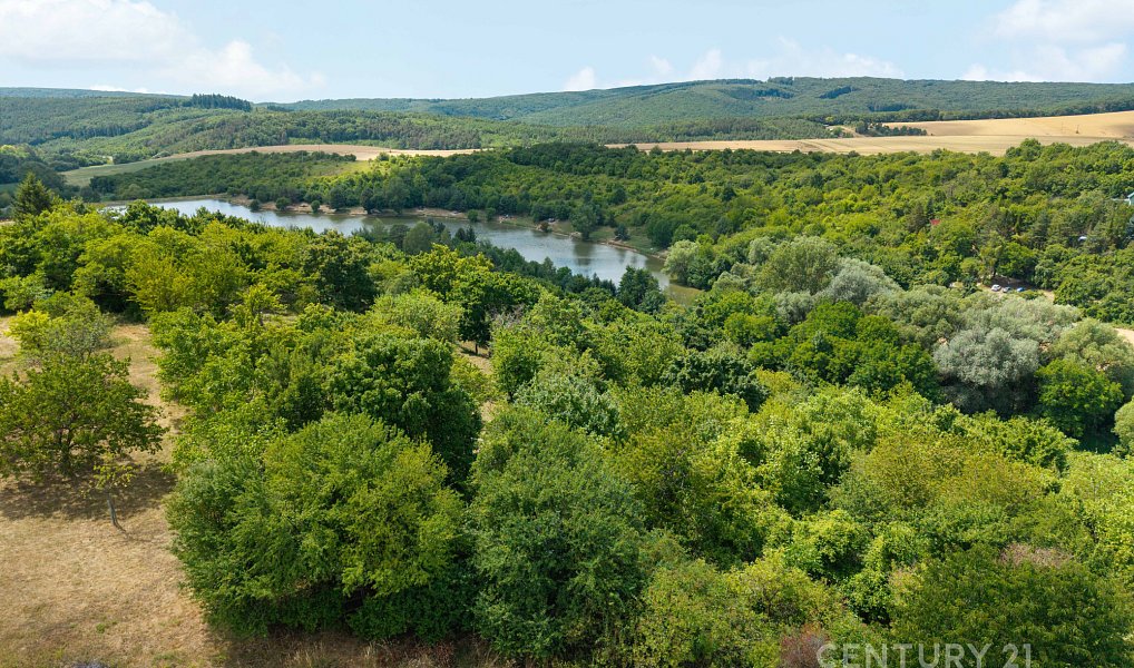 Prodej stavebního pozemku 7 076 m², Koryčany – náhled fotky 16