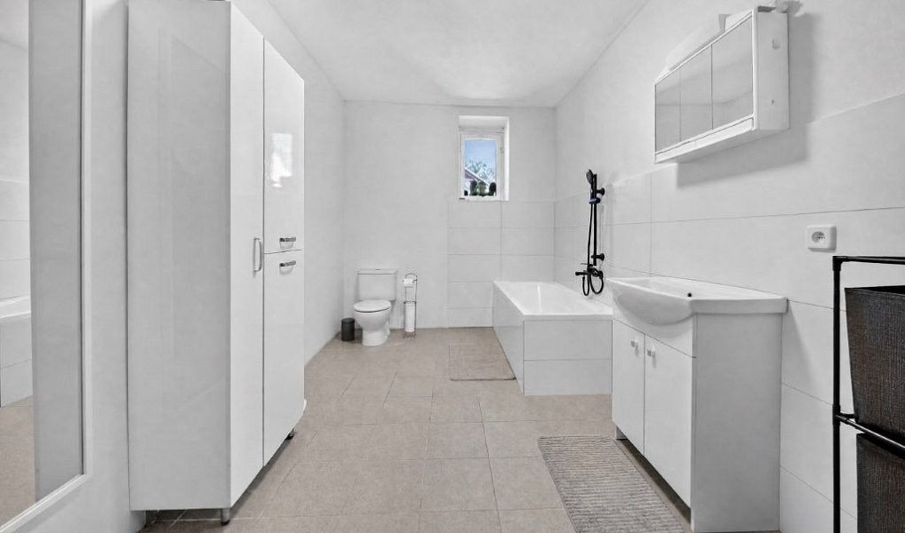 Prodej domu 247 m² s pozemkem 976 m², Bříza – náhled fotky 8