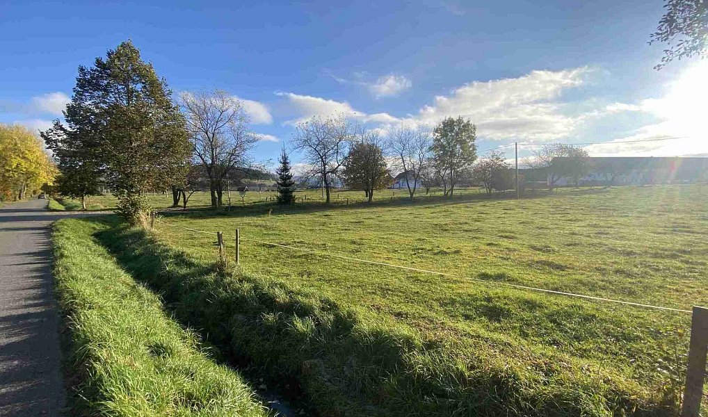 Prodej pole 5 099 m², Králíky – náhled fotky 2